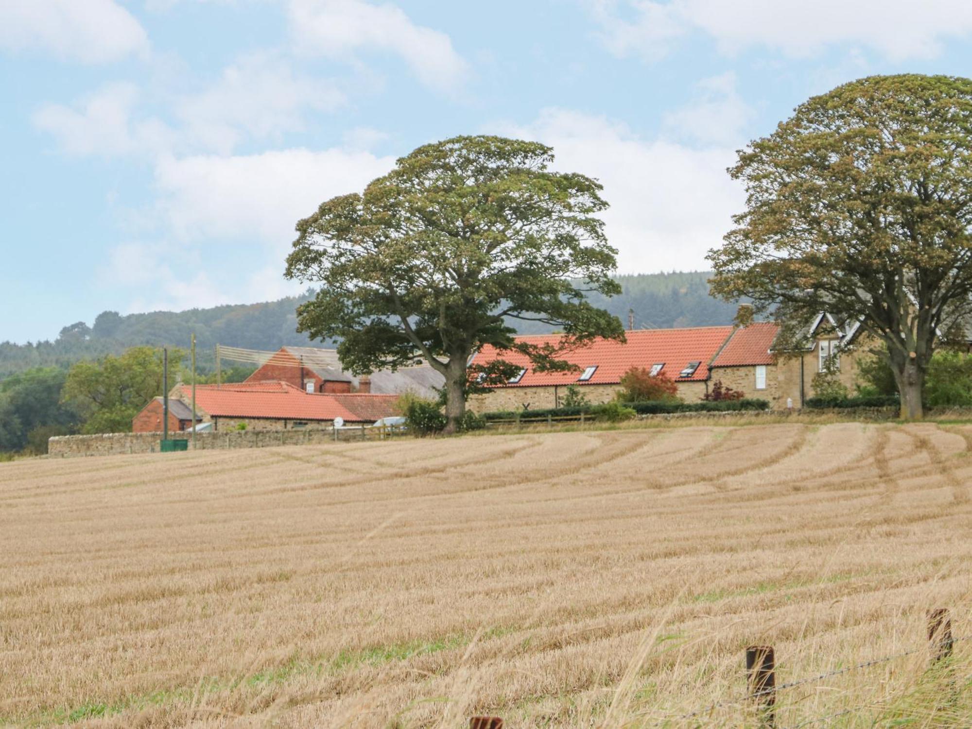 Sheep Pen Cottage Durham Dış mekan fotoğraf